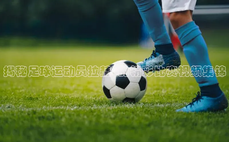 沐鸣2登陆颐驰 06